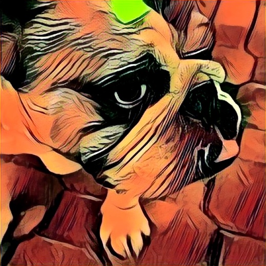 painnt app painnt app